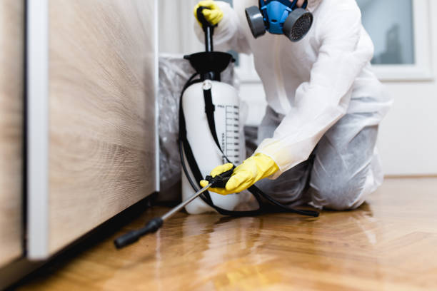 Best Cockroach Control Services  in Devine, TX