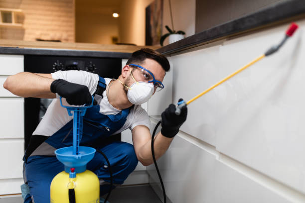 Best Pest Control for Homes  in Devine, TX