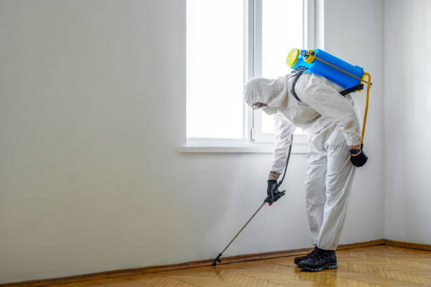 Best Affordable Pest Control Services  in Devine, TX