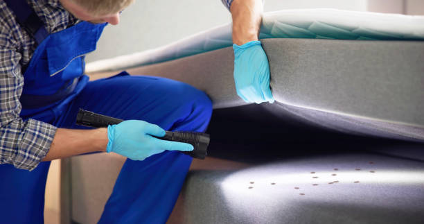 Best Pest Inspection Near Me  in Devine, TX