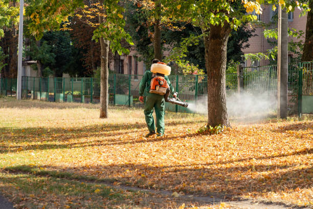 Best Pest Removal Services  in Devine, TX