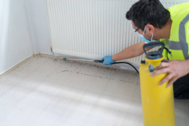 Best Mosquito Control Services  in Devine, TX