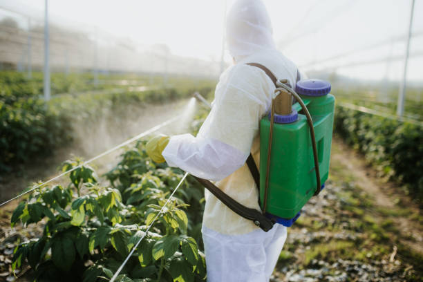 Pest Control Cost in Devine, TX